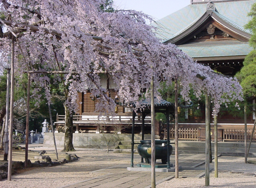 東漸寺の歴史の陰(投稿)